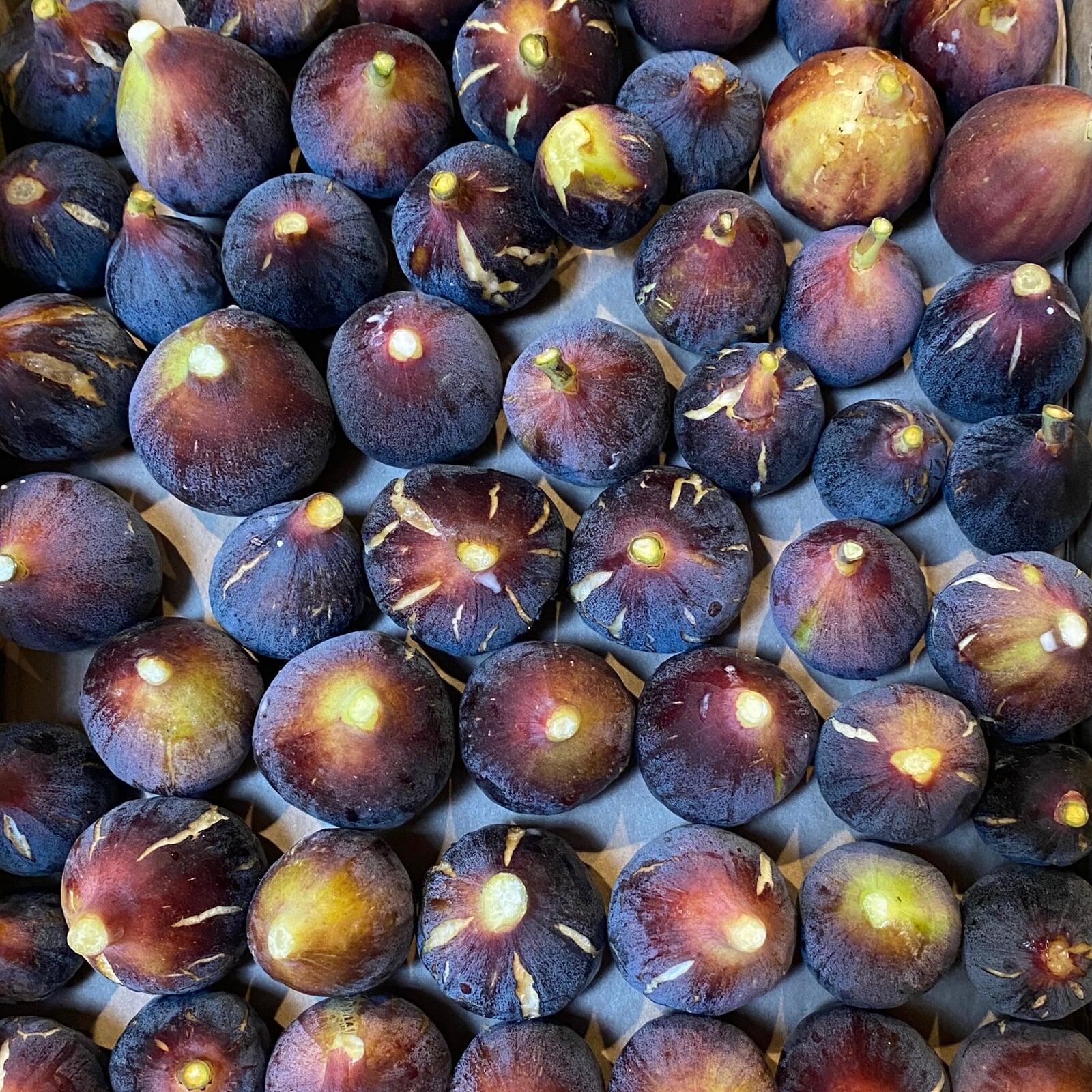 figs